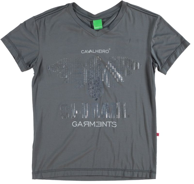 CAMISETA AGUIA FOIL (002303030275) CAMISETA AGUIA FOIL (002303030275)