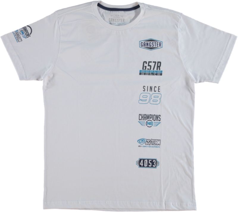 CAMISETA BASICA (002303030283) CAMISETA BASICA (002303030283)