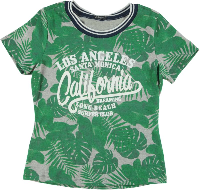BLUSA 912497 FOLLHAGEM EST.LOCALIZADA_PW (11621000330_Front_Web.jpg) BLUSA 912497 FOLLHAGEM EST.LOCALIZADA_PW (11621000330_Front_Web.jpg)