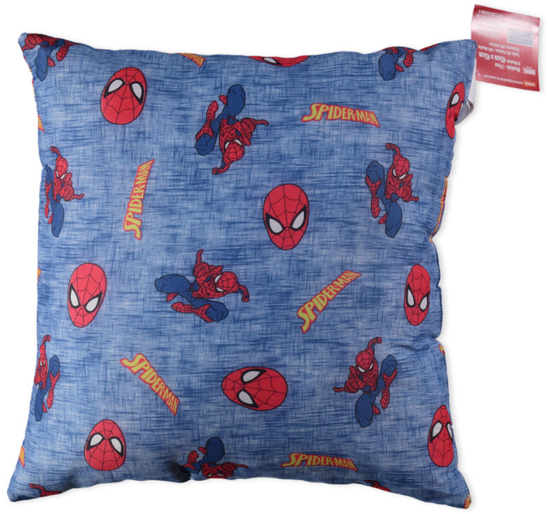 ALMOFADA 45 X 45 SPIDER TEIA (46623000001_Front_Web.png) ALMOFADA 45 X 45 SPIDER TEIA (46623000001_Front_Web.png)
